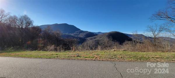 Waynesville, NC 28785,0 Rons RDG