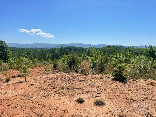 Nebo, NC 28761,V/L Tatertown LOOP