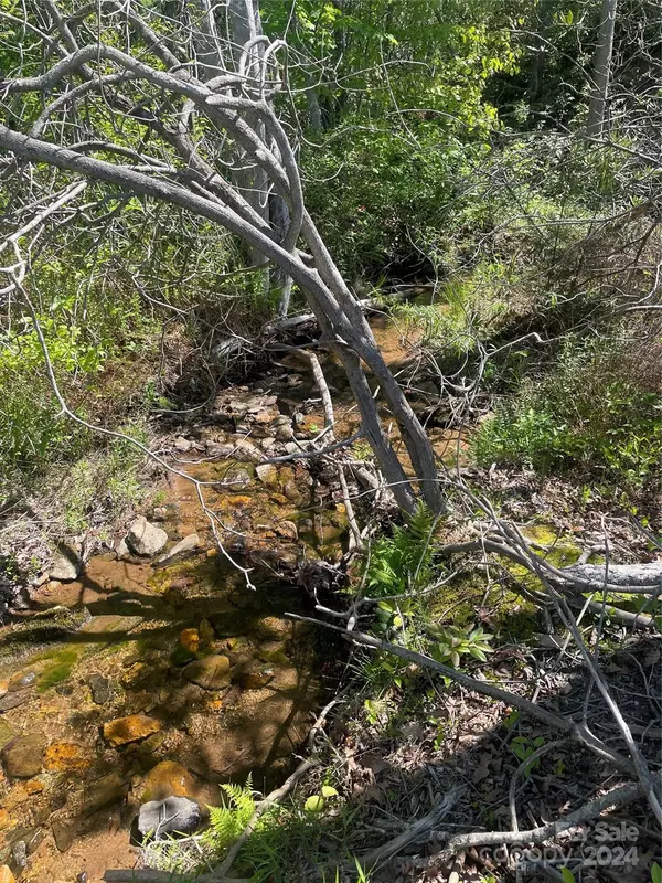 Nebo, NC 28761,V/L Tatertown LOOP