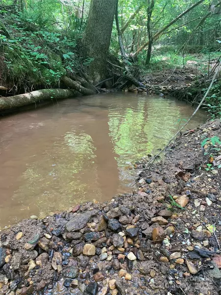 Lot 119 Creekside CIR, Rutherfordton, NC 28139