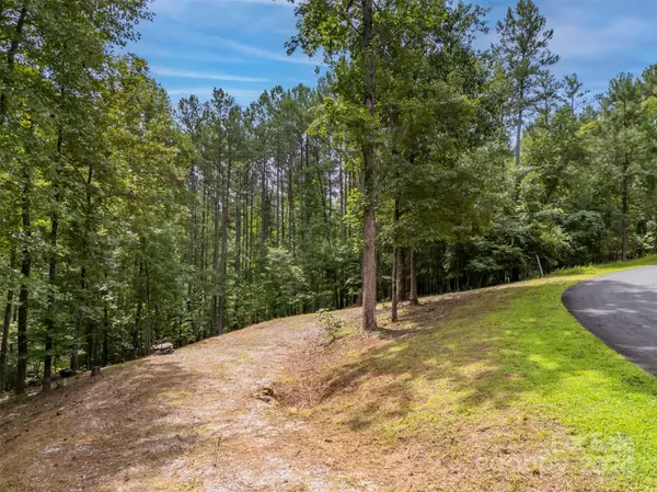 Lot 119 Creekside CIR, Rutherfordton, NC 28139