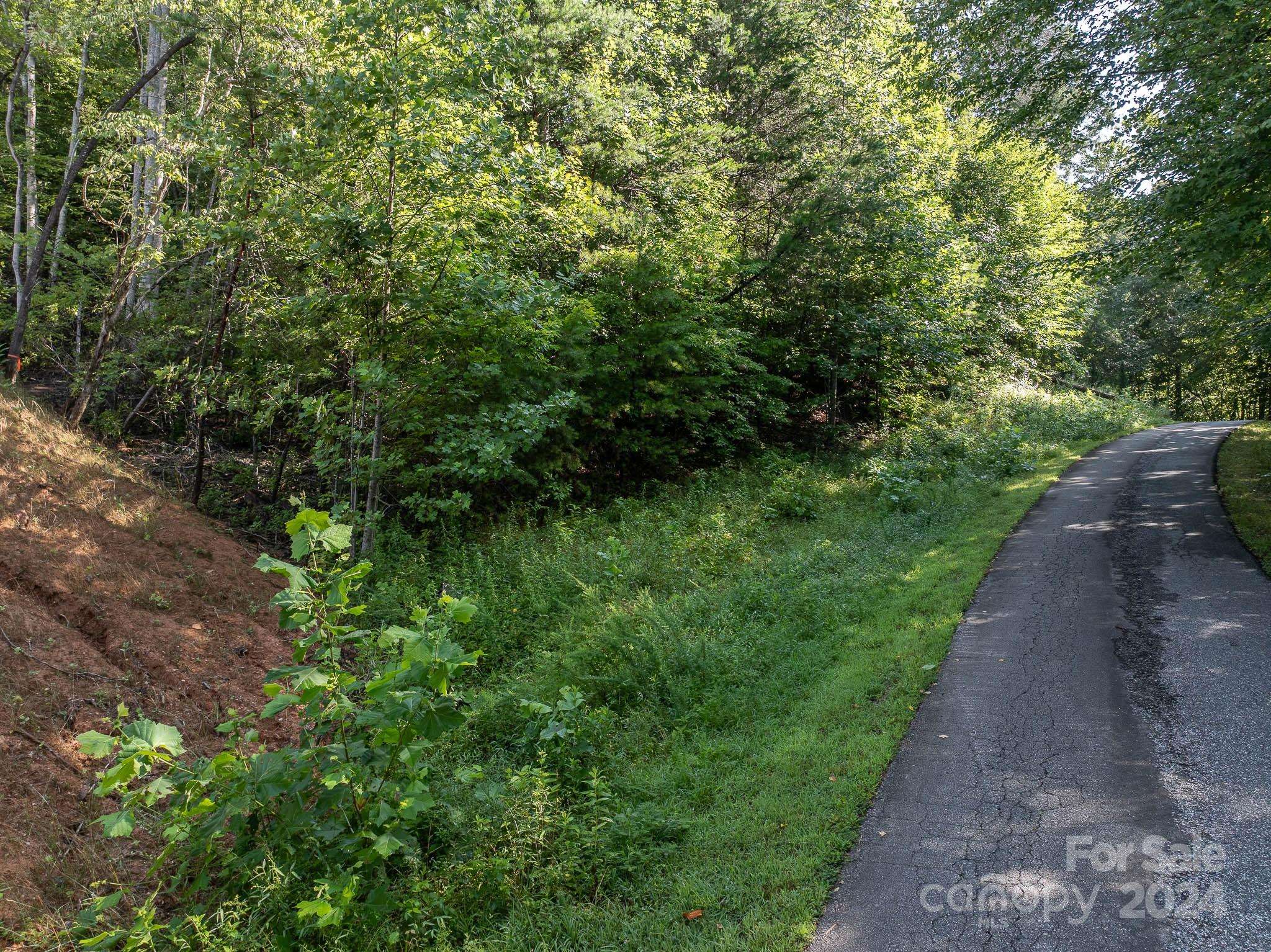 Marion, NC 28752,TBD Pheasant TRL #30