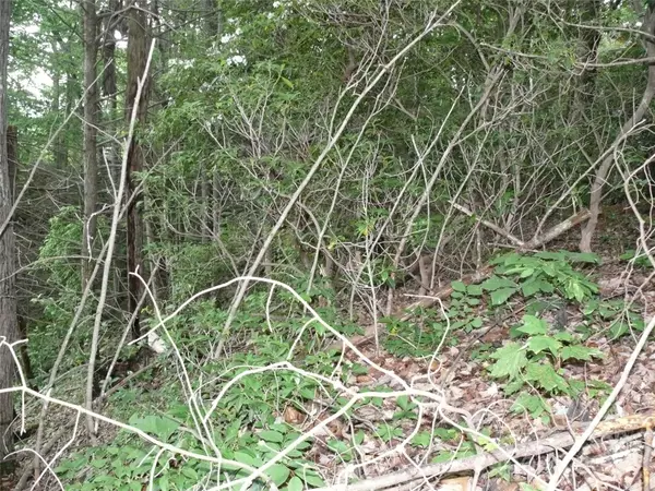 Lake Lure, NC 28746,Lot 205 Knob LN