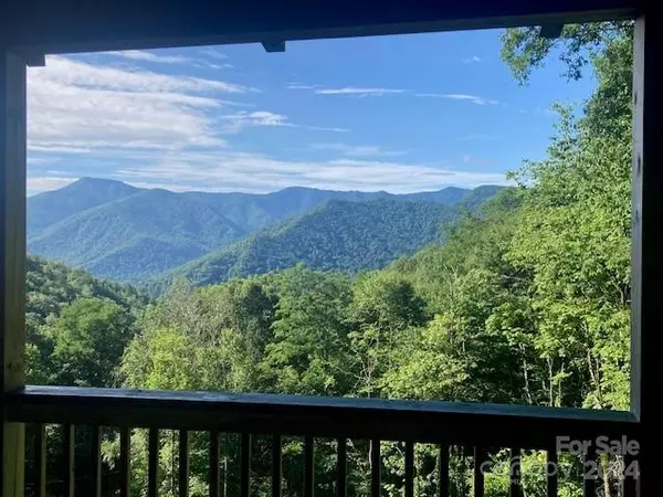 Maggie Valley, NC 28751,1330 Sheepback Mountain RD