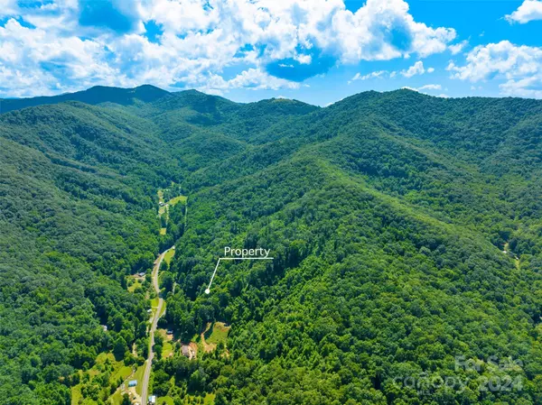 Candler, NC 28715,00 Warren Creek RD