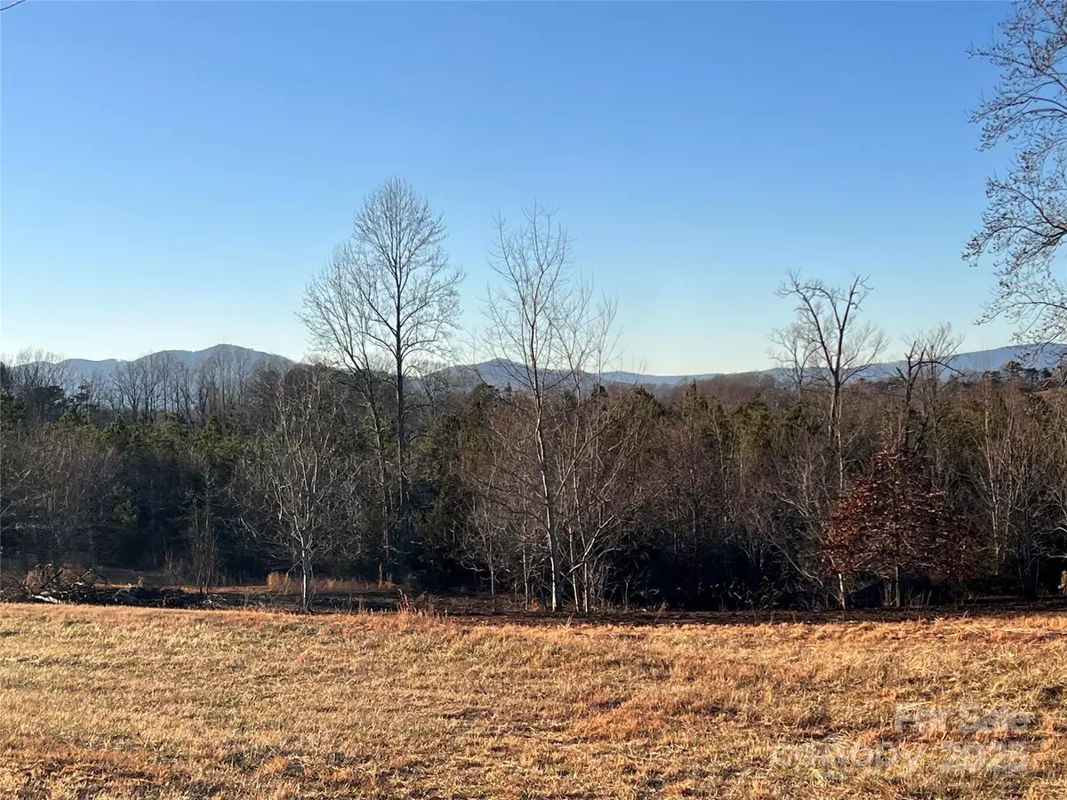 Tryon, NC 28782,9999 Moore RD #3