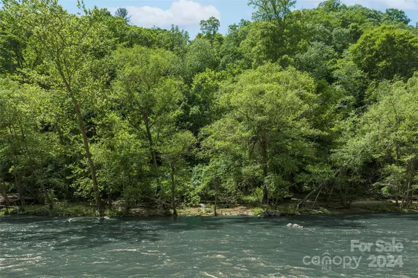 Marshall, NC 28753,TBD Indigo Bunting LN #Tract 3