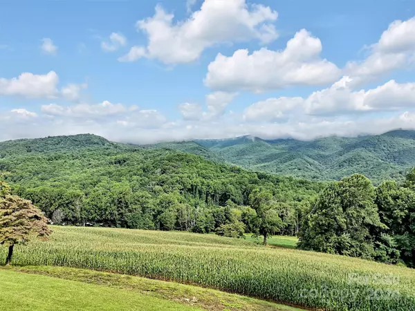 Waynesville, NC 28786,202 Sams TRL