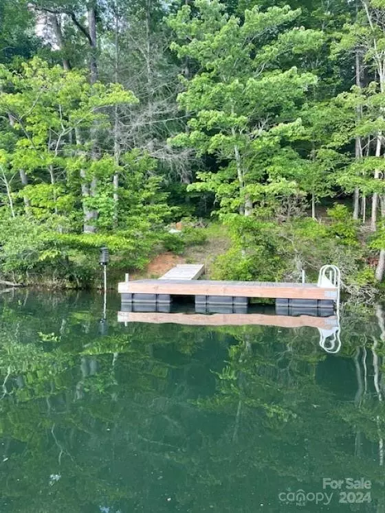 Lake Lure, NC 28746,1733 Buffalo Creek RD