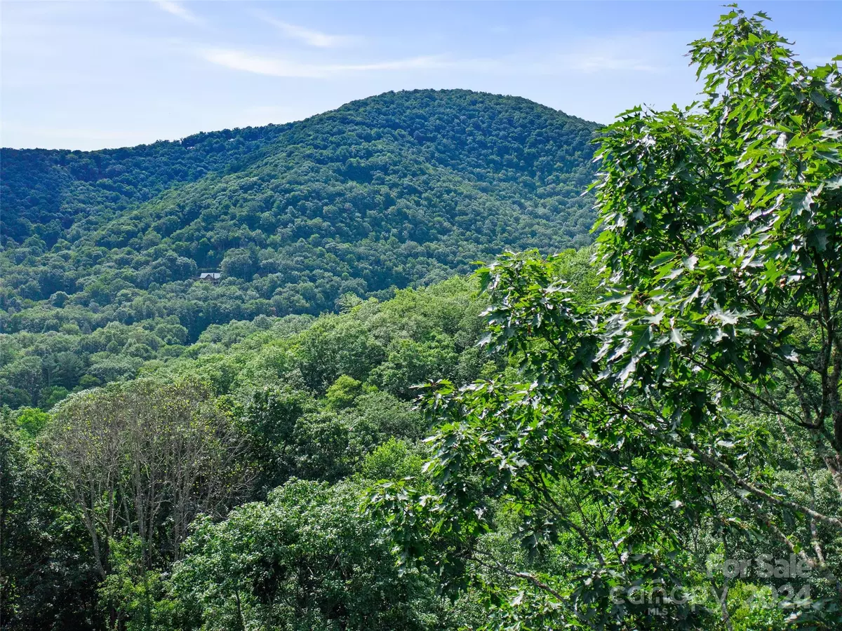 Burnsville, NC 28714,000 Falling Water DR