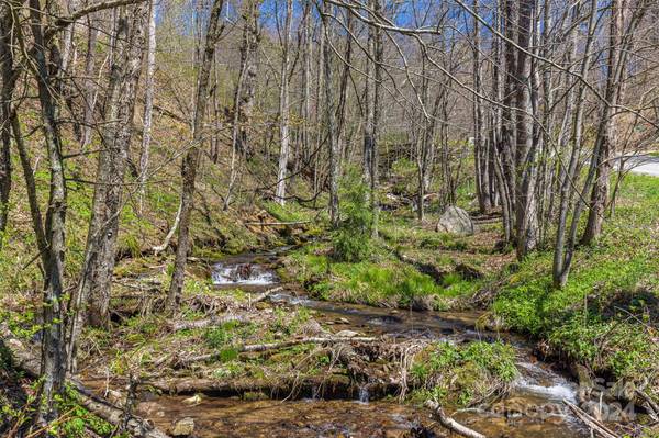 Maggie Valley, NC 28751,00 Fie Top RD