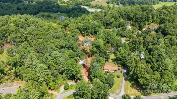 Horse Shoe, NC 28742,0 Terrace Forest TRL #4