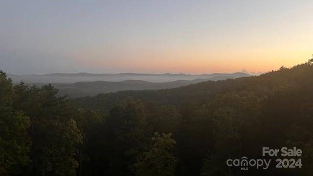 Morganton, NC 28655,3918 Skyline DR