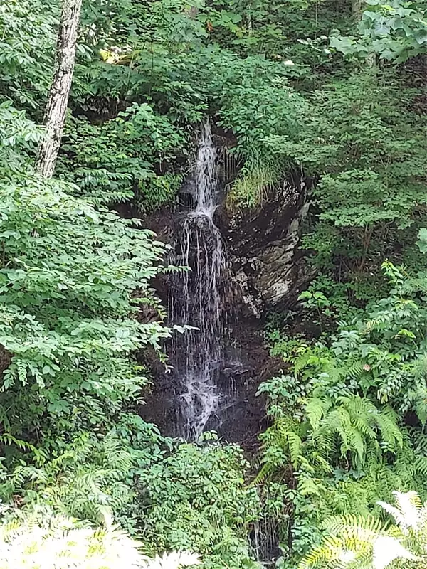 Asheville, NC 28804,243 Starling PASS