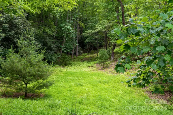 Horse Shoe, NC 28742,99999 S Running Deer TRL #80