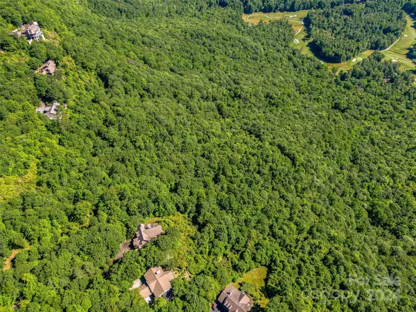 Lake Toxaway, NC 28747,TBD Fairway DR