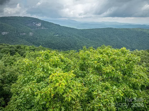 Lake Toxaway, NC 28747,000 Panthertown RD #38R