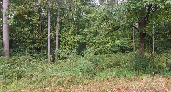 Troy, NC 27371,TBD Wildwood LN