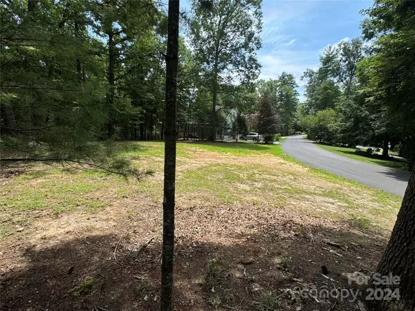 Mars Hill, NC 28787,Lot 6 Settlers TRL