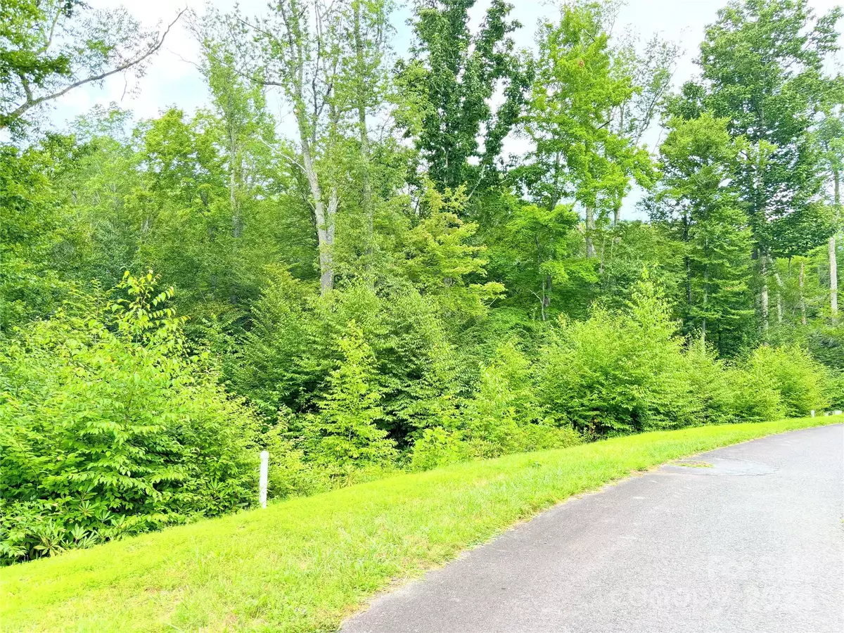 Linville, NC 28646,00 Linville River DR #Lot 11