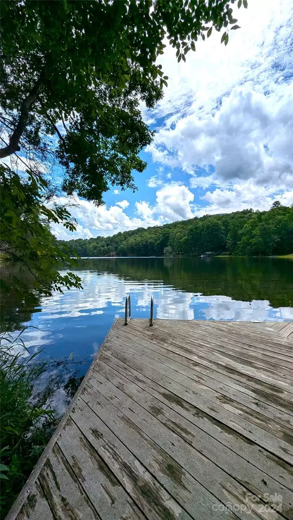 Lake Lure, NC 28746,1943 Buffalo Creek RD