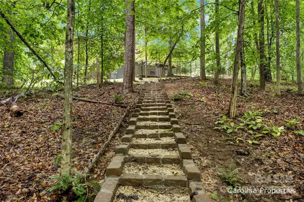 Rutherfordton, NC 28139,248 Cinnamon RDG