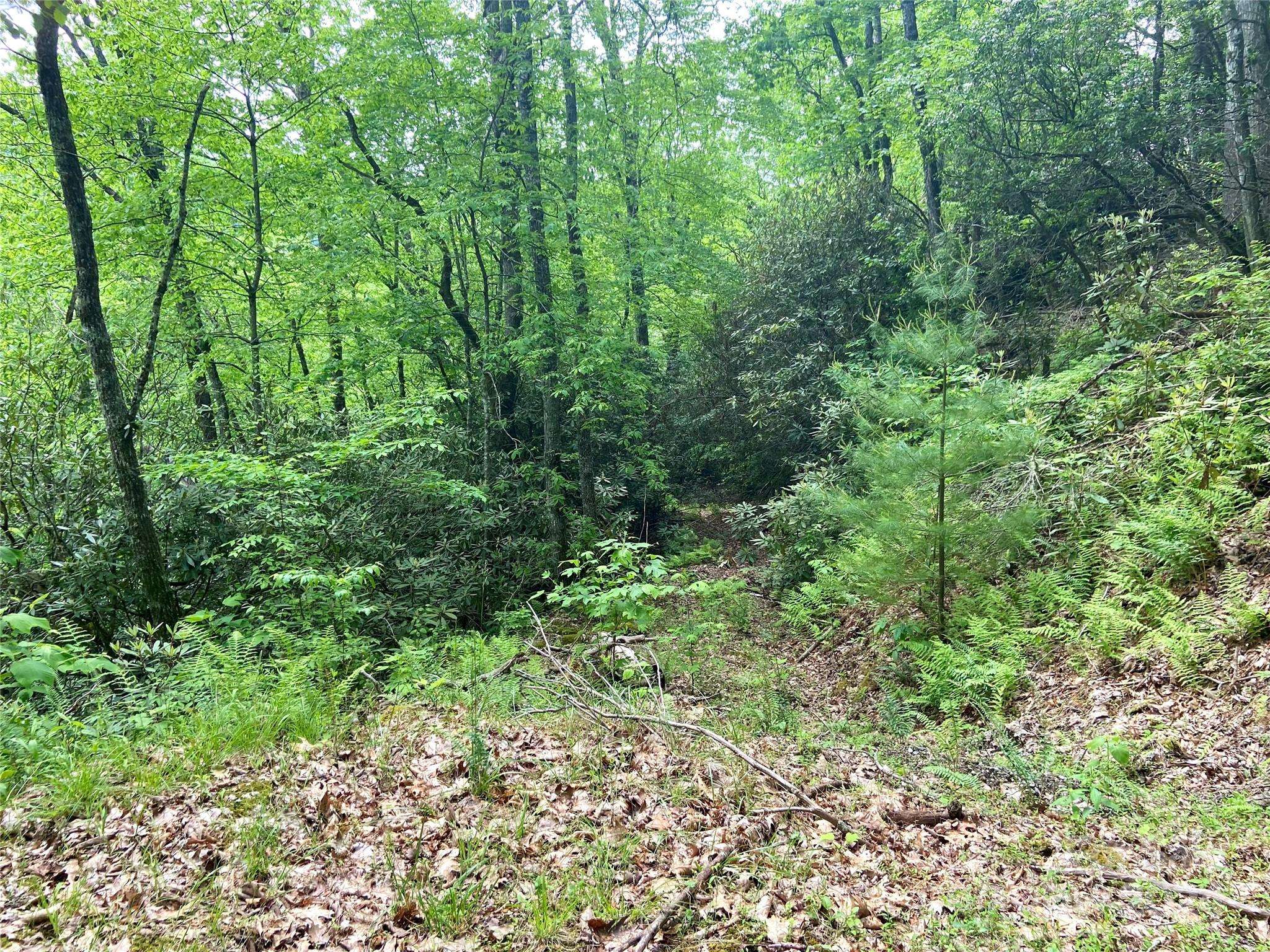 Lot 10 Mystic Forest WAY #10, Bryson City, NC 28713
