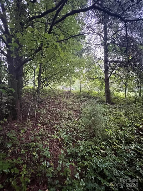 Lake Lure, NC 28746,000 Easy ST #18