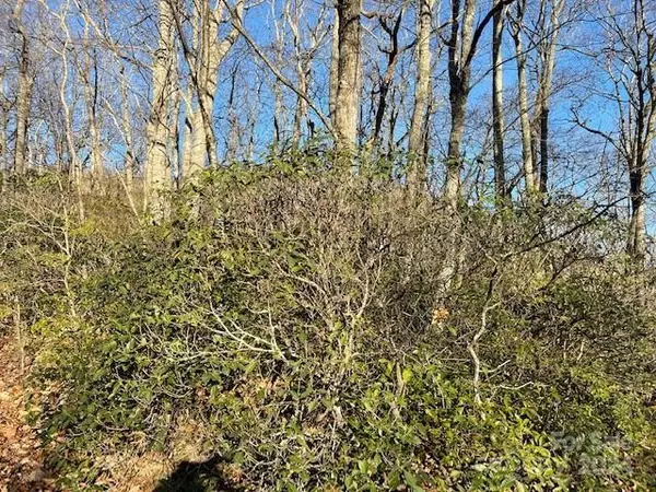 Hendersonville, NC 28792,0 E Poplar LN #25