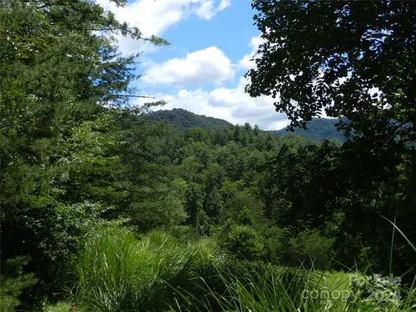 Weaverville, NC 28787,14 Ivywood RD