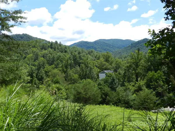 Weaverville, NC 28787,14 Ivywood RD