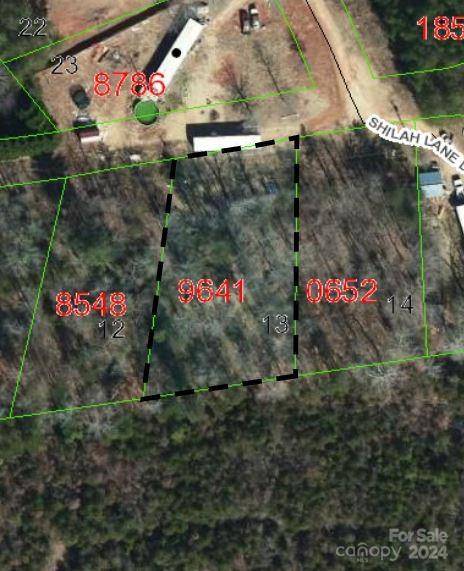 TBD Biggerstaff LOOP #lot #13, Nebo, NC 28761