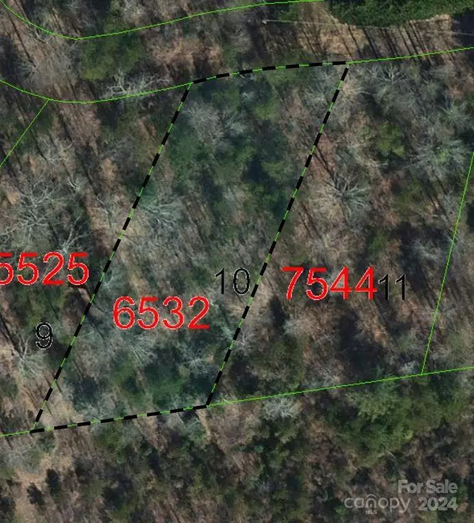 Nebo, NC 28761,TBD Biggerstaff LOOP #lot #10