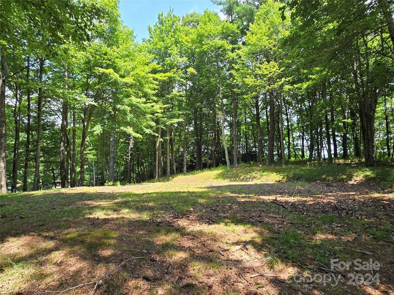 Lot 13 Vista Ridge RD, Fleetwood, NC 28626