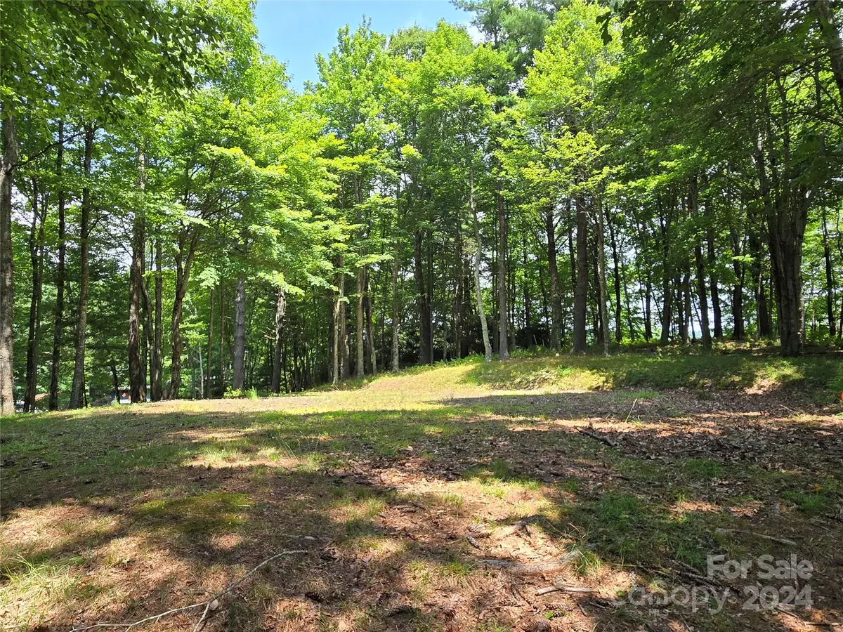 Fleetwood, NC 28626,Lot 13 Vista Ridge RD