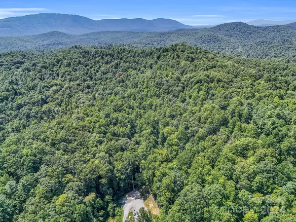 Hendersonville, NC 28739,SR1196-D Evans RD