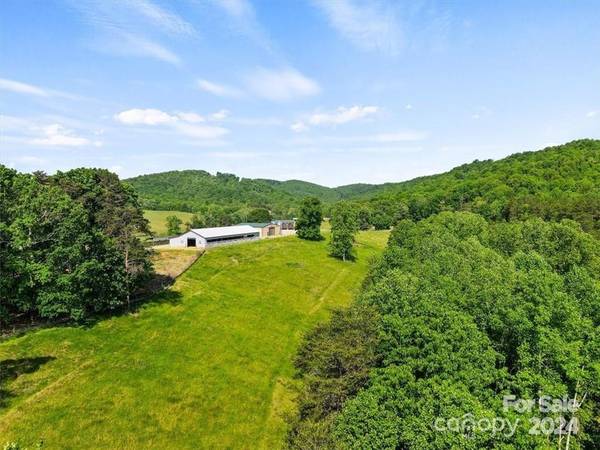 North Wilkesboro, NC 28659,800 Cooter Hollow RD