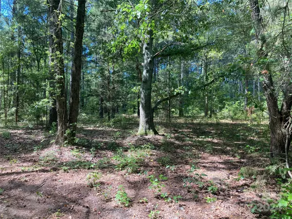 Morven, NC 28119,1824 Sportsman RD