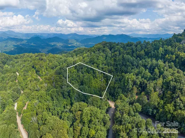 Waynesville, NC 28785,00 Pitch Fork CV #525