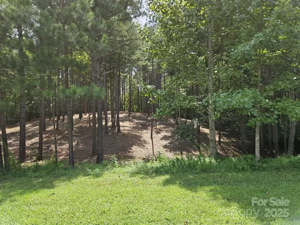 Stony Point, NC 28678,133 Oak Point LN