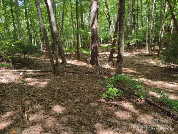 Lot 50 Shumont Estates DR, Lake Lure, NC 28746