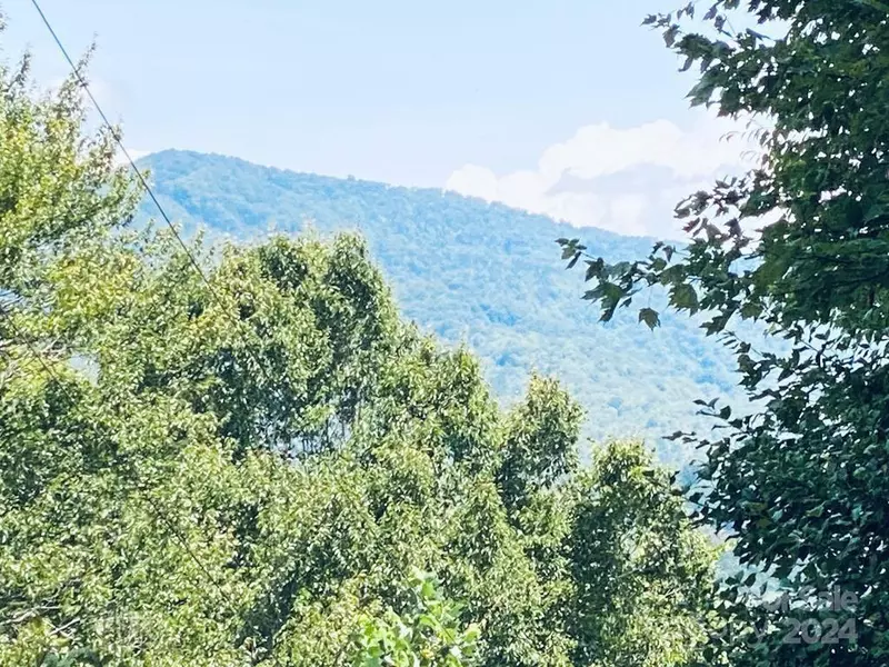 Lot 21 Torwood LN, Whittier, NC 28789