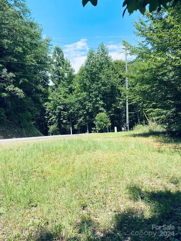 Whittier, NC 28789,Lot 21 Torwood LN