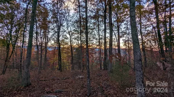 Marshall, NC 28753,512 Wild River RUN #65