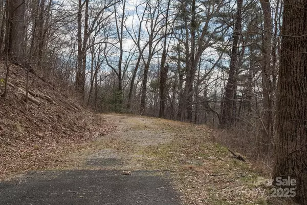 Asheville, NC 28804,999 Falconwood LN #20 and 21