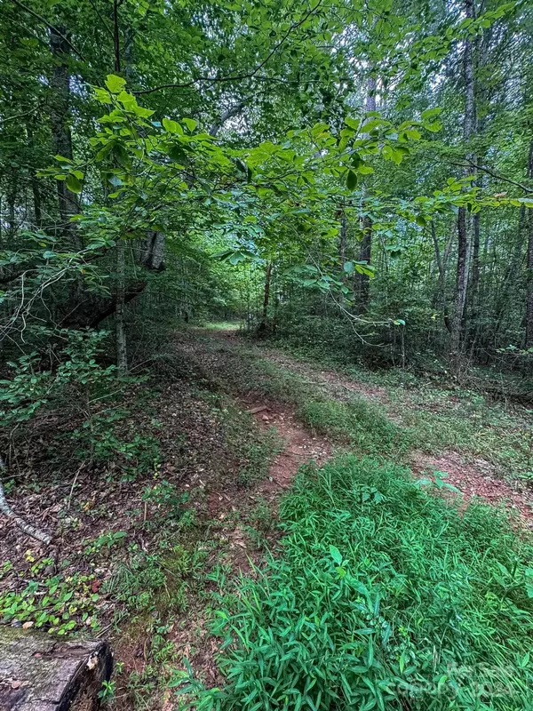 Hudson, NC 28638,3174 Lewis Austin LN