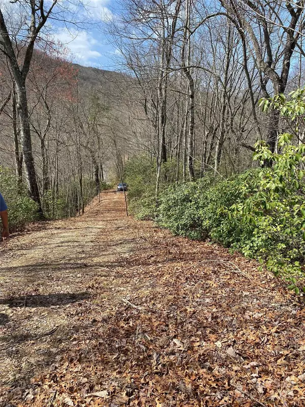 Bryson City, NC 28713,111 Little Bear RD