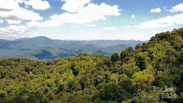 Waynesville, NC 28785,Lot 513 Curry Comb TRL