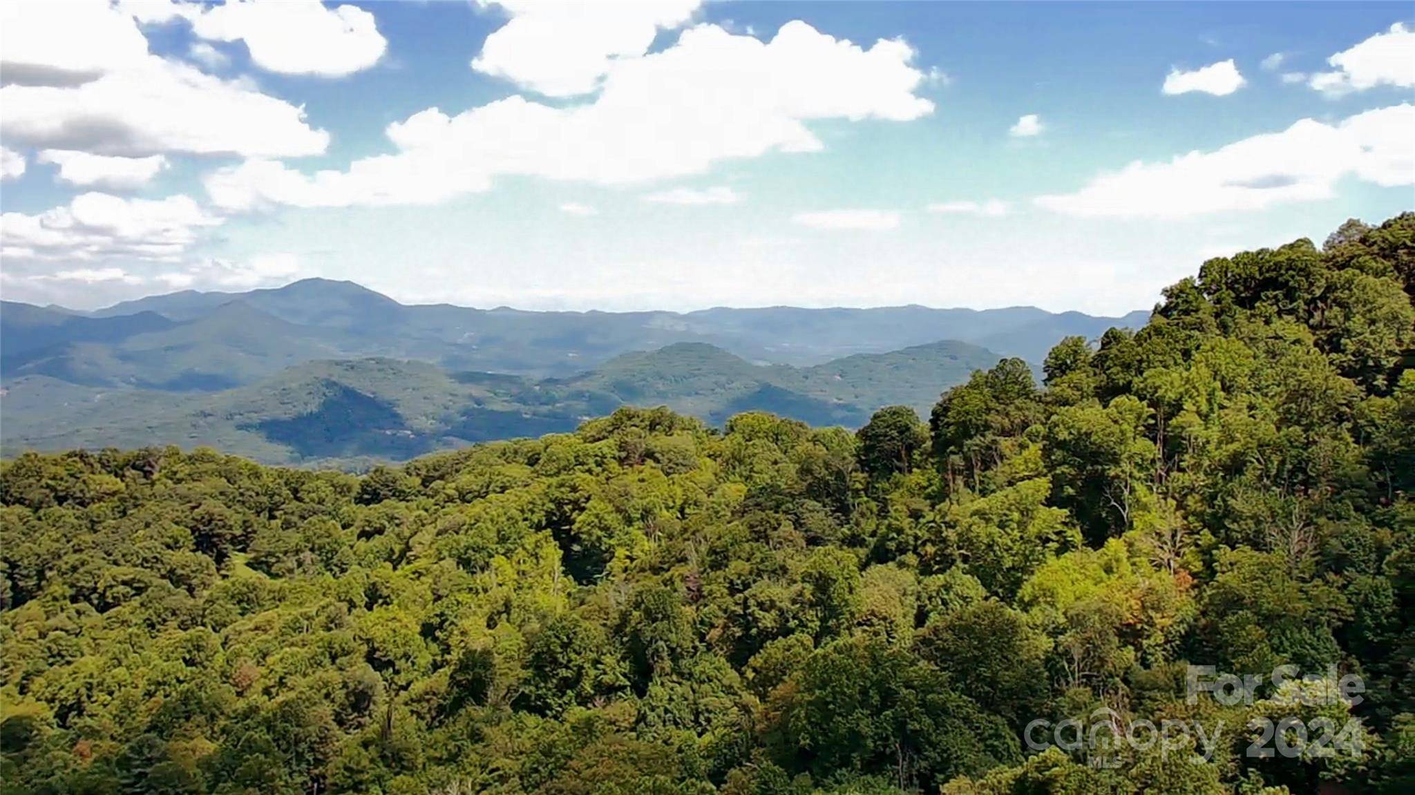 Waynesville, NC 28785,Lot 513 Curry Comb TRL