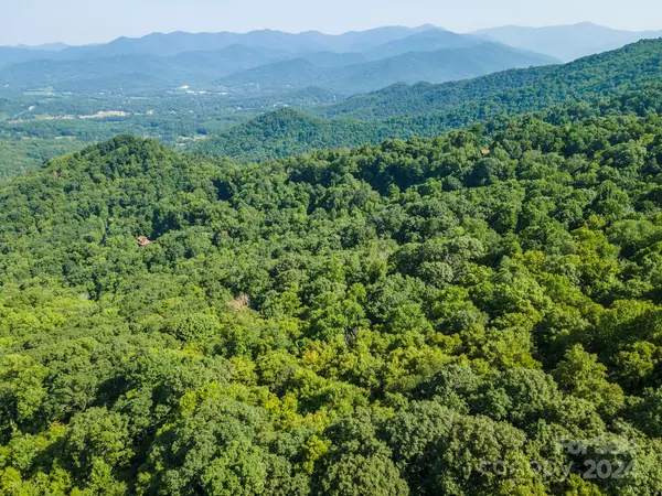 Swannanoa, NC 28778,00000 Bailey RD